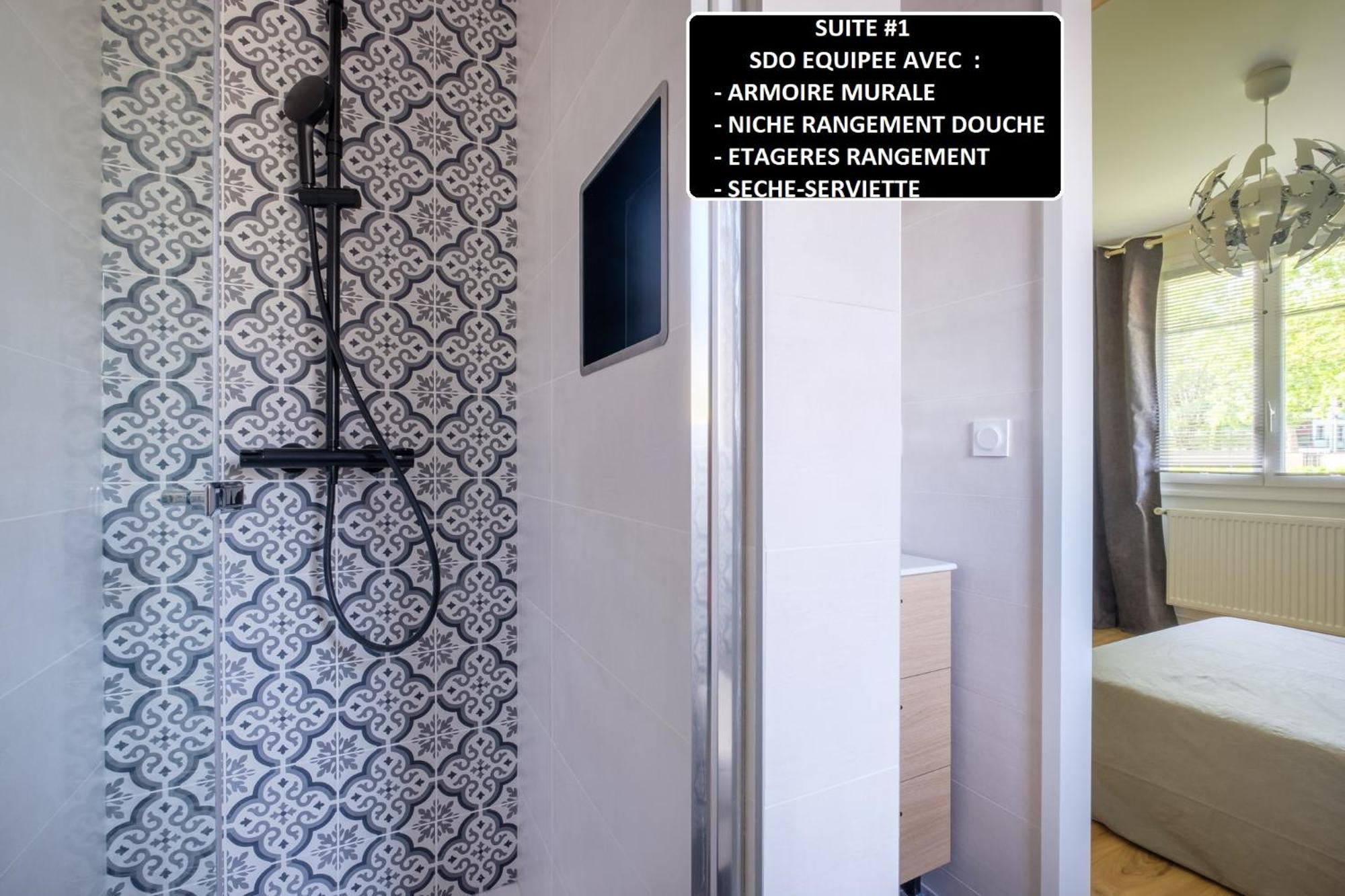 Appart 3 Suites-Chaque Suite Avec Sdo Wc Privatifs - Cuisine Commune Тассин-Ла-Деми-Луне Экстерьер фото